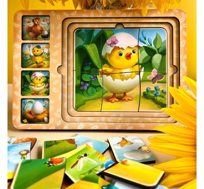 Деревянная настольная игра "Этапы развития курочки" Ubumblebees (ПСФ018) PSF018 сортер-пазл