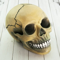 Череп копилка M 8943 (серый)