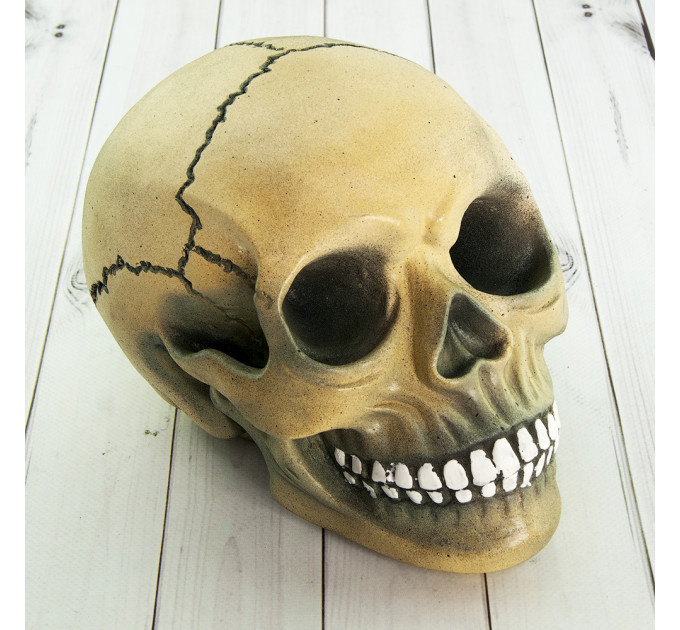 Череп копилка M 8943 (серый)