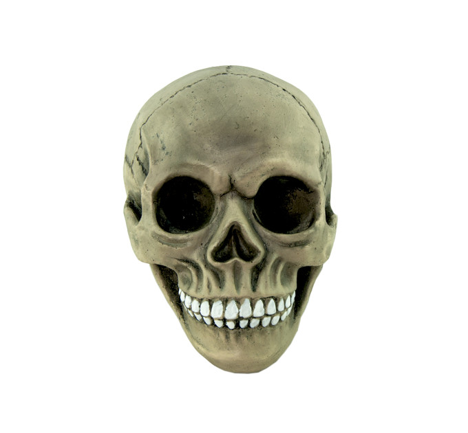 Череп скарбничка S 9180 (сірий)