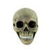 Череп скарбничка S 9180 (сірий)