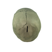 Череп копилка S 9180 (серый)