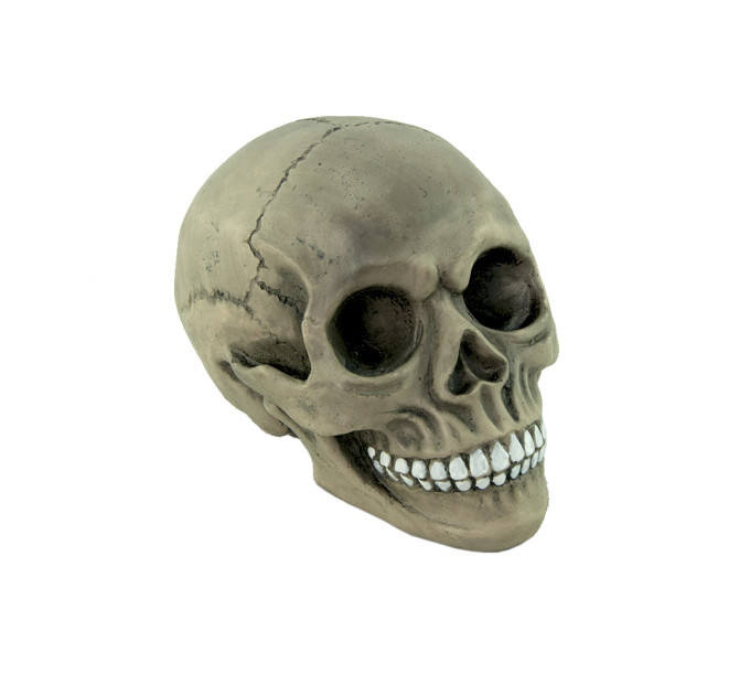 Череп скарбничка S 9180 (сірий)