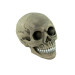 Череп скарбничка S 9180 (сірий)