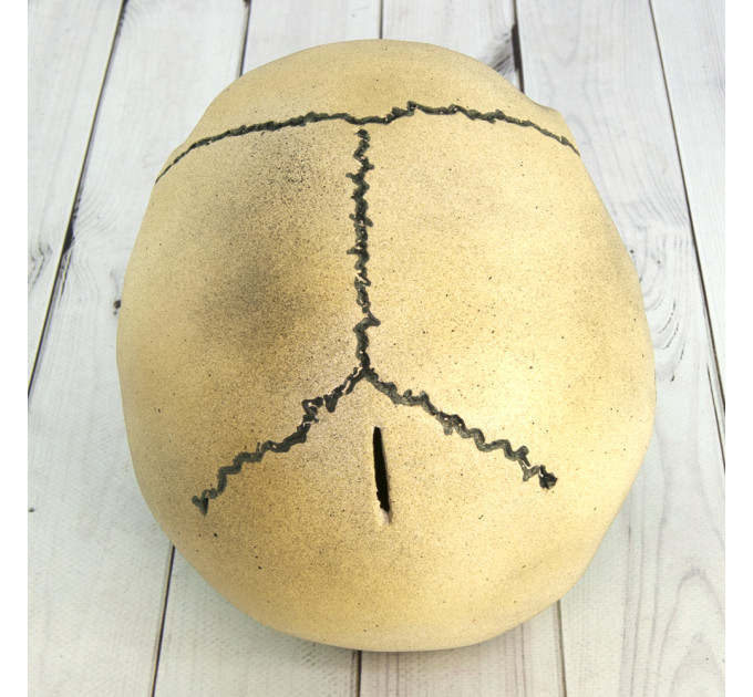 Череп копилка M 8943 (серый)