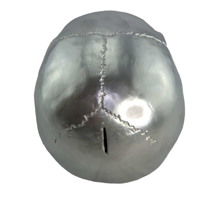 Череп копилка M 8945 (серебро)