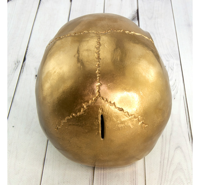 Череп скарбничка M 8944 (золото)