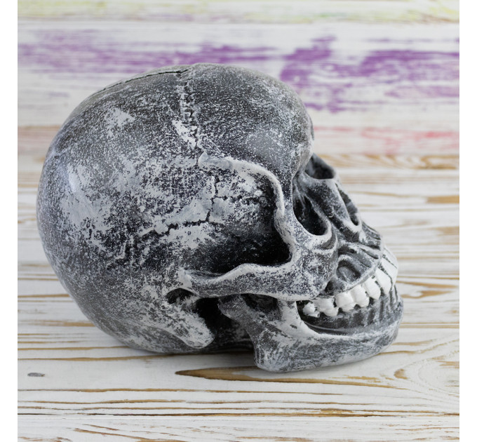 Череп копилка M 8943 (серый)