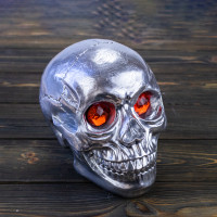 Череп скарбничка M 8945 (срібло)