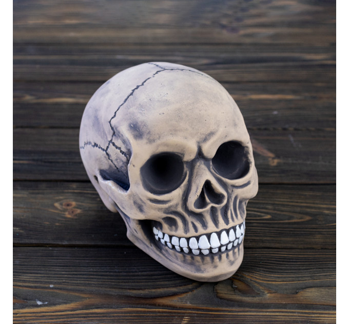 Череп скарбничка S 9180 (сірий)
