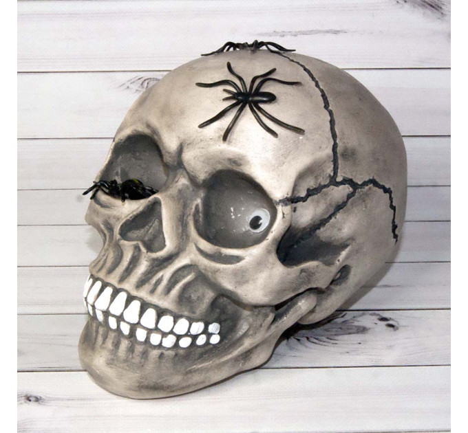Череп скарбничка з павуками М 10603 (сірий)
