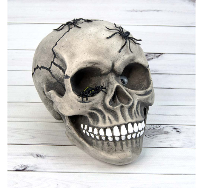 Череп скарбничка з павуками М 10603 (сірий)