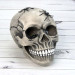 Череп скарбничка з павуками М 10603 (сірий)