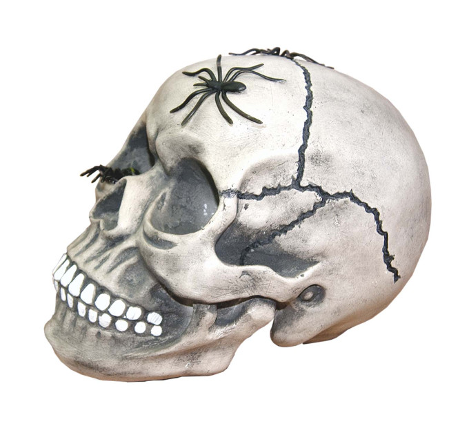 Череп скарбничка з павуками М 10603 (сірий)