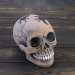 Череп скарбничка з павуками М 10603 (сірий)