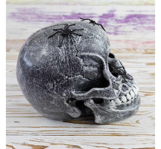 Череп скарбничка з павуками М 10603 (сірий)