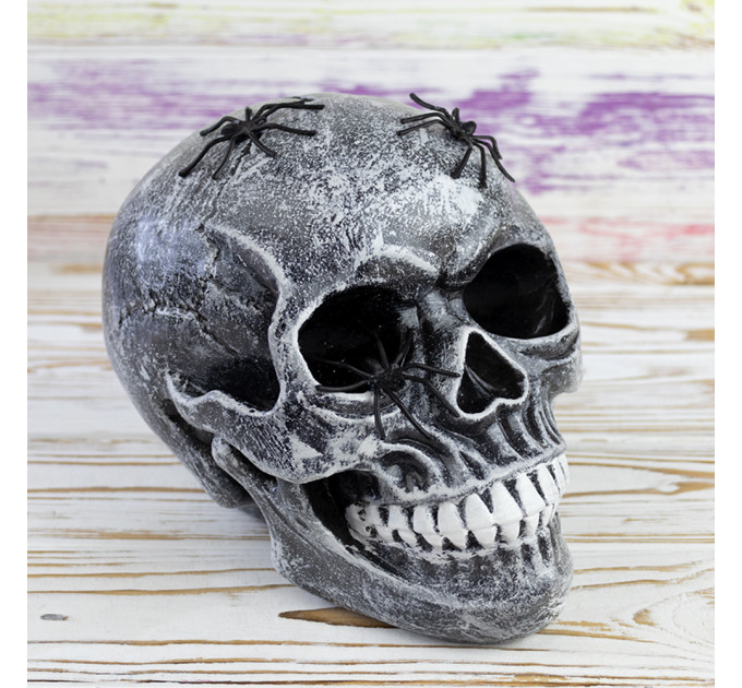 Череп скарбничка з павуками М 10603 (сірий)