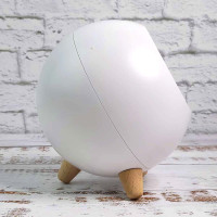 LED Ночник Спящий кот в домике (белый) LED Ночник Спящий кот в домике (белый)