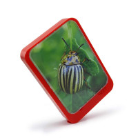 Фоторамка музыкальная Фоторамка музыкальная