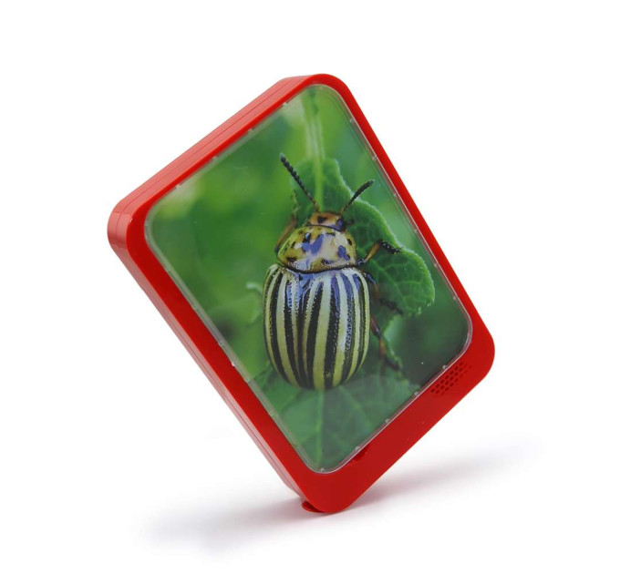 Фоторамка музыкальная