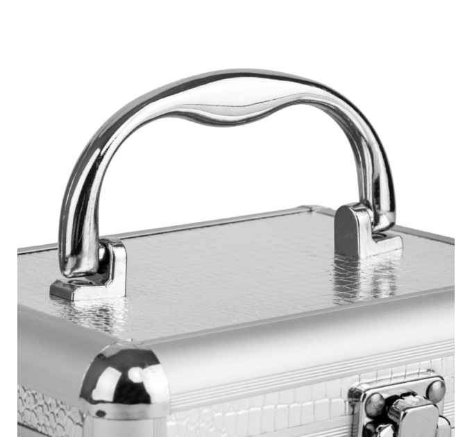 Кейс-шкатулка "Срібна Скарбниця", 16,5*18 см (9036-002)