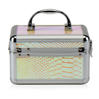 Кейс-шкатулка "Луска" (8908-001) Кейс-шкатулка "Луска" (8908-001)