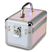 Кейс-шкатулка "Луска" (8908-001) Кейс-шкатулка "Луска" (8908-001)