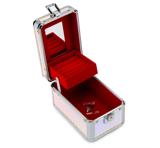 Кейс-шкатулка "Луска" (8908-001)