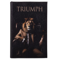 Книга-сейф "Успех" (0508-012)