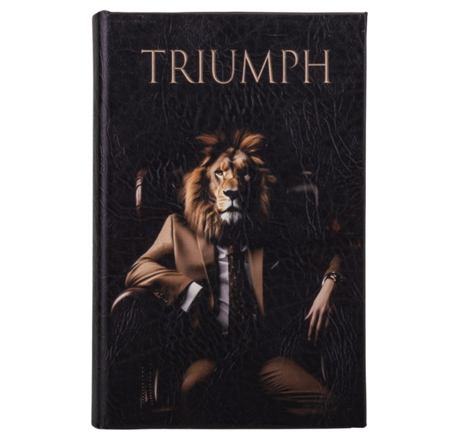 Книга-сейф "Успех" (0508-012)