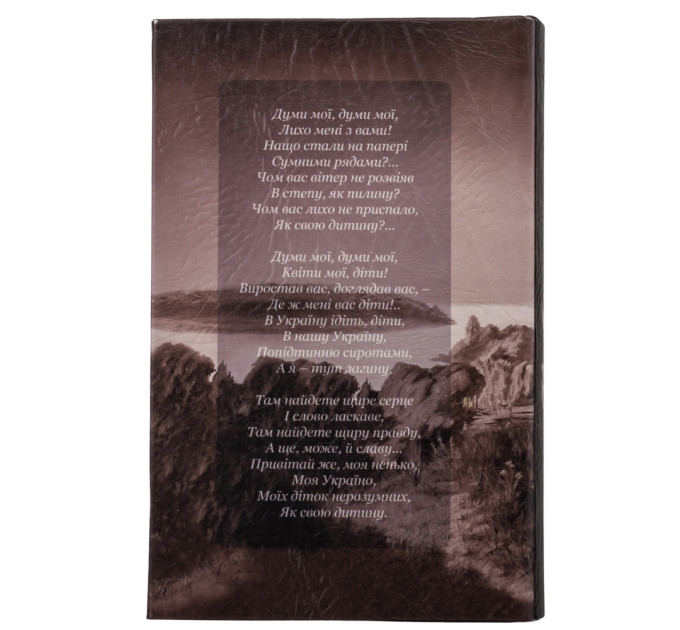 Книга-сейф "Кобзар" (0508-010)