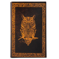 Книга-сейф "Сова" (014UE)