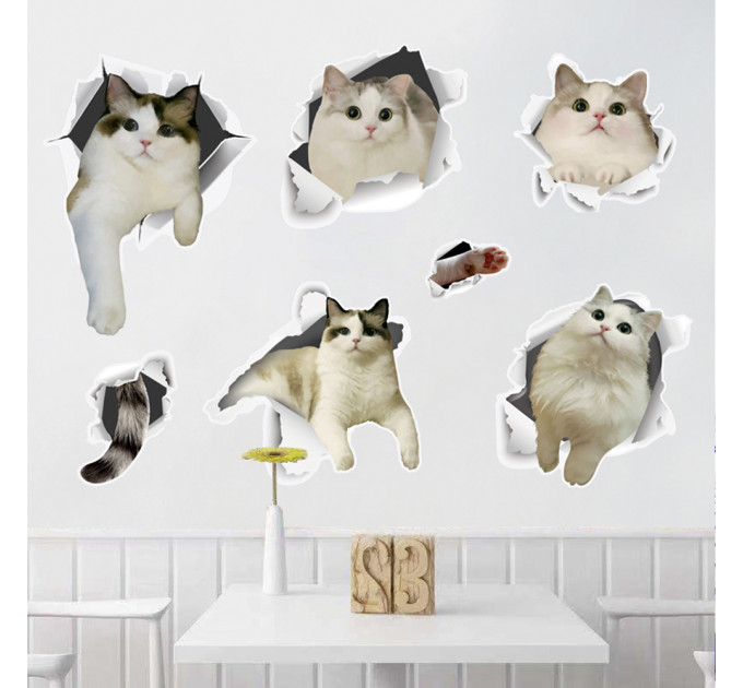 Интерьерная наклейка CD Кошки SK6066 60х45см