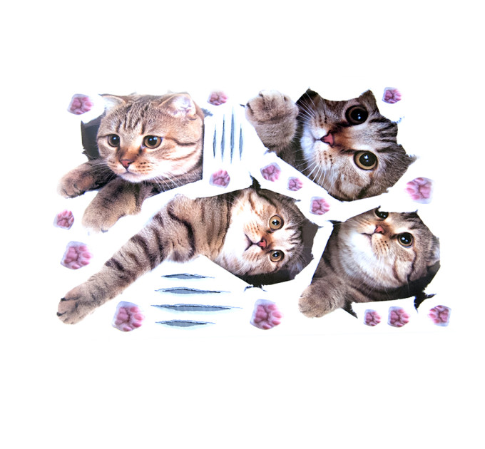 Інтер'єрна наклейка CD Кошенята SK7116 70х50см