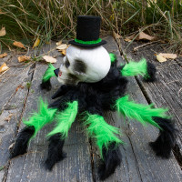 Паук готический Арахаус 45 см 12904 (черный с зеленым) Паук готический Арахаус 45 см 12904 (черный с зеленым)