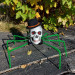 Павук готичний Король темряви 72см з черепом (зелений) 09948