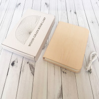 Светильник Книга 3Д (светлое дерево)