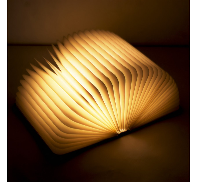 Світильник Книга 3Д (світле дерево)