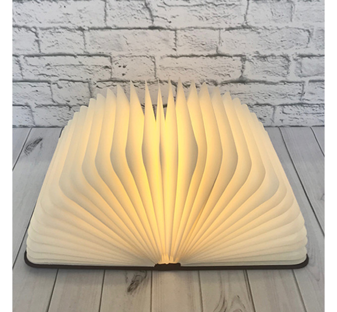 Світильник Книга 3Д (світле дерево)