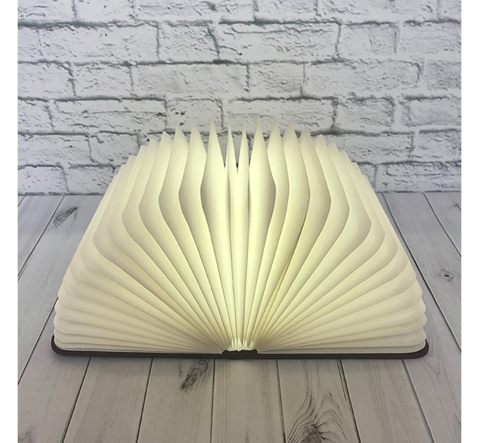 Світильник Книга 3Д (світле дерево)