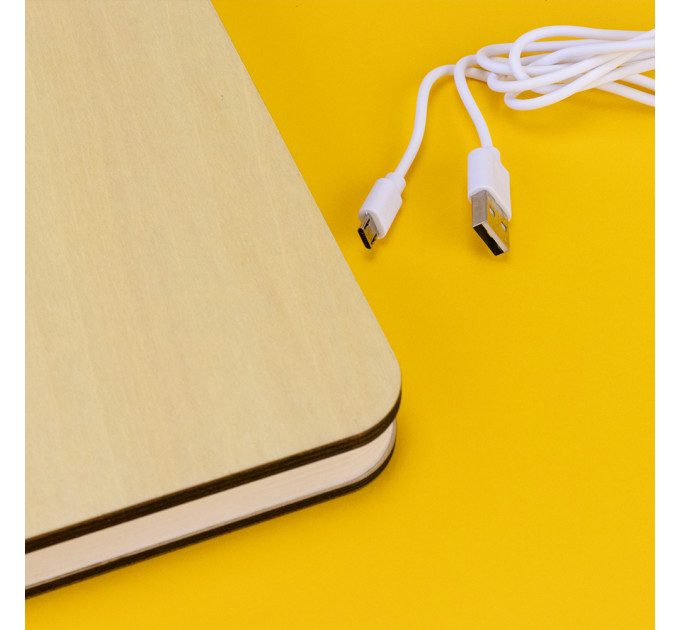 Світильник Книга 3Д (світле дерево)