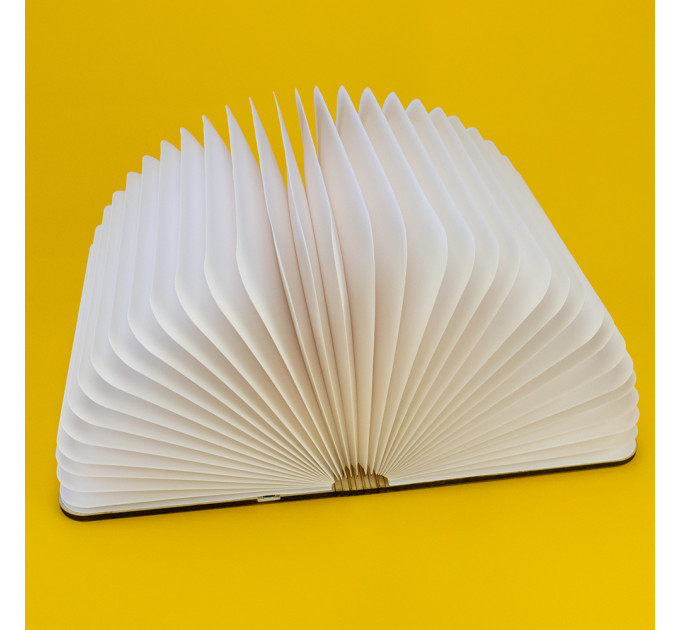 Світильник Книга 3Д (світле дерево)