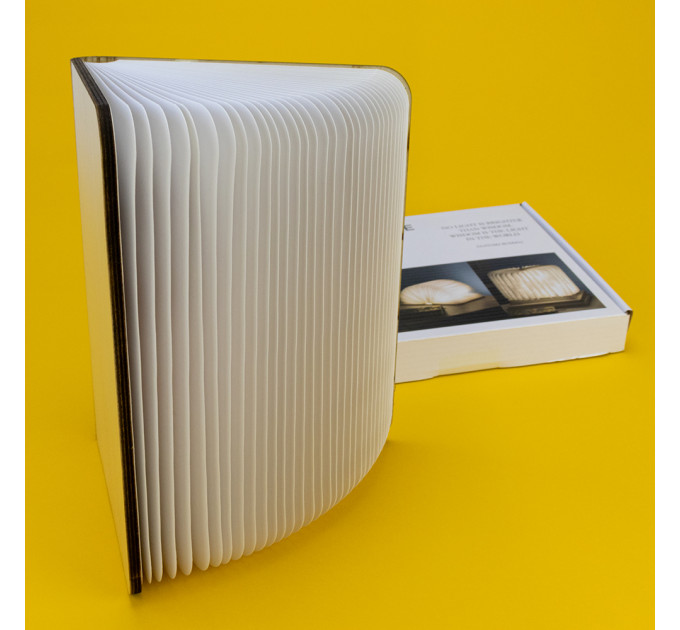 Світильник Книга 3Д (світле дерево)