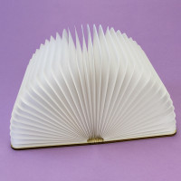 Светильник Книга 3Д (темное дерево)