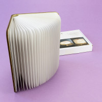 Светильник Книга 3Д (темное дерево)